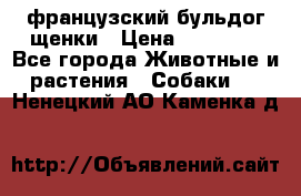 французский бульдог щенки › Цена ­ 50 000 - Все города Животные и растения » Собаки   . Ненецкий АО,Каменка д.